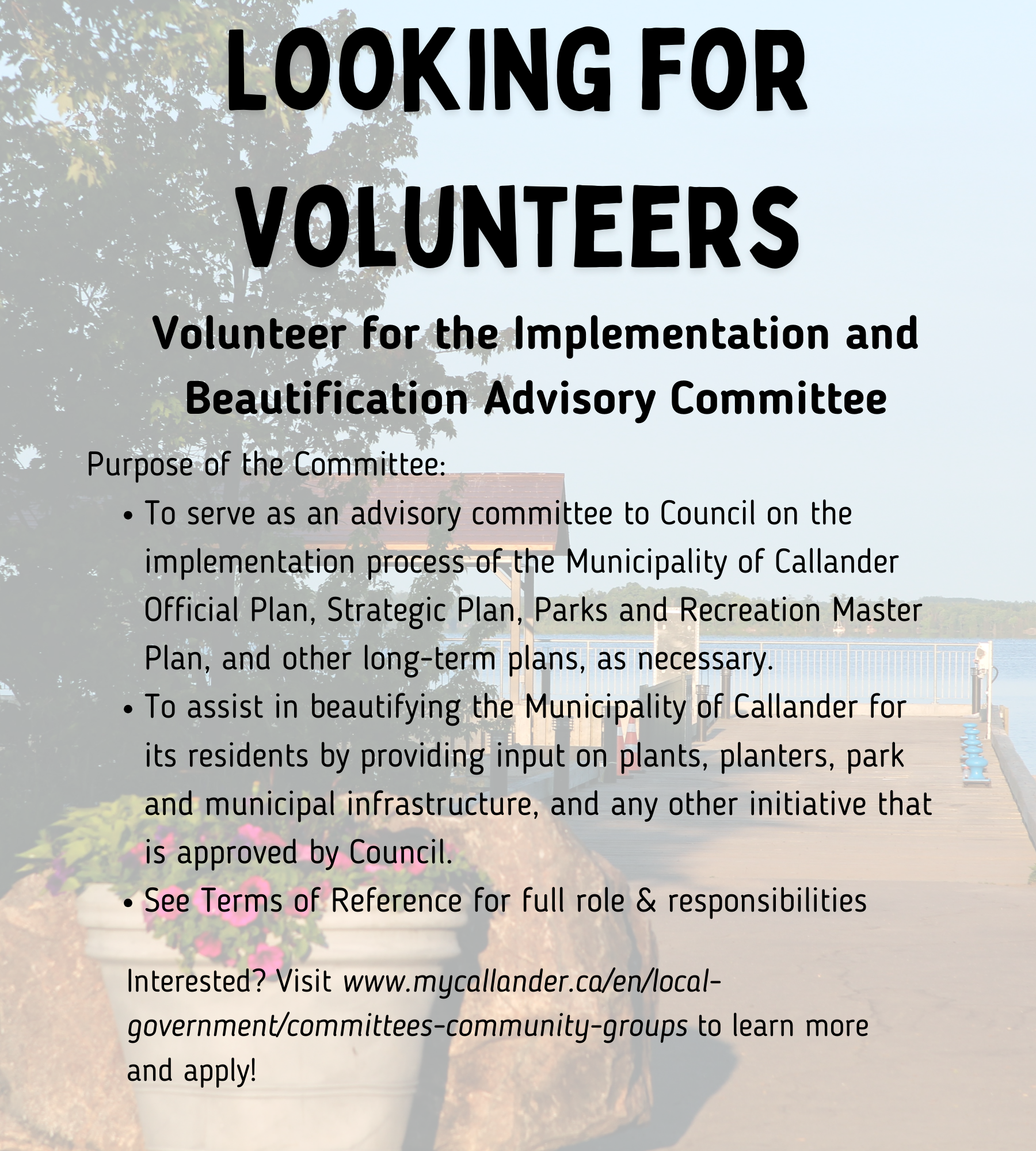 Looking for a volunteer for the Implementation and Beautification Committee